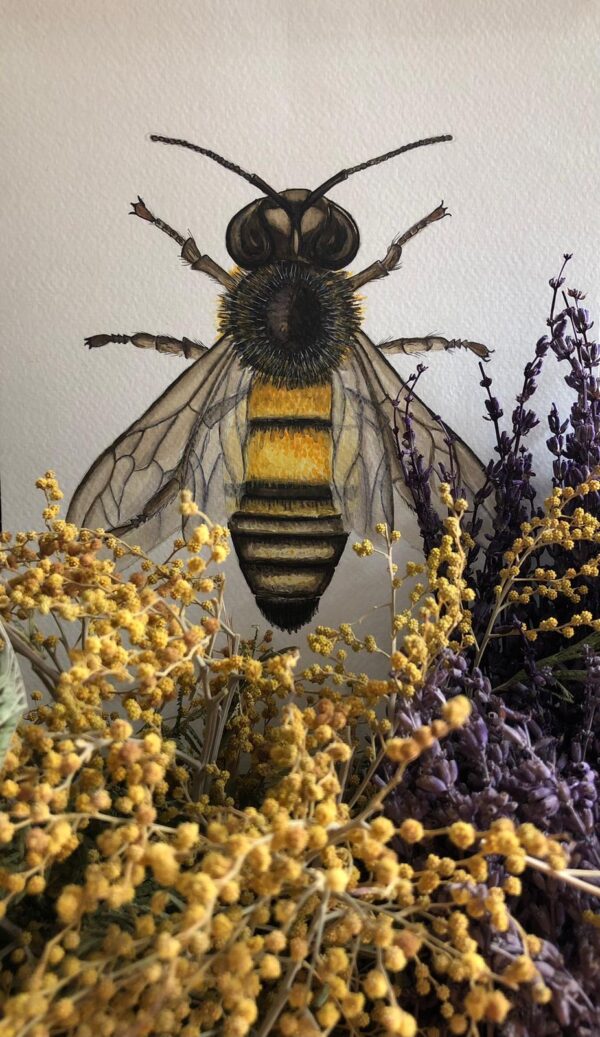 BEE 21 X 30 WATERCOLOR PAINTING - Görsel 2