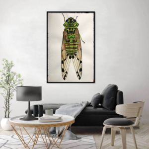 CICADA 35 X 50 WATERCOLOR PAINTING