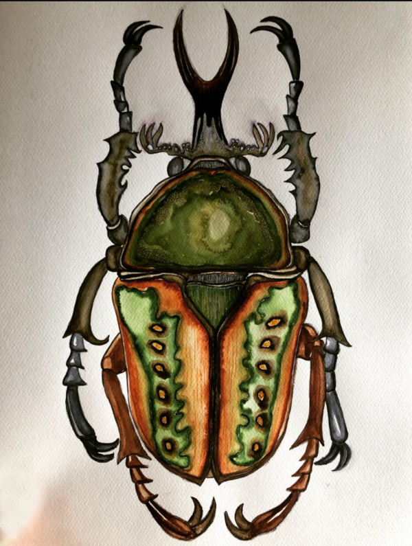 EMPEROR BEETLE  35 X 50 WATERCOLOR PAINTING - Görsel 2