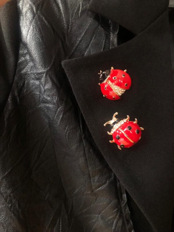 LADY BUGS